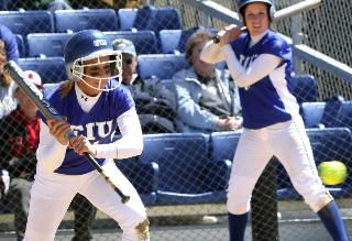 Softball loses weekend series 