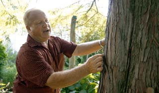 Gardener works to beautify campus 