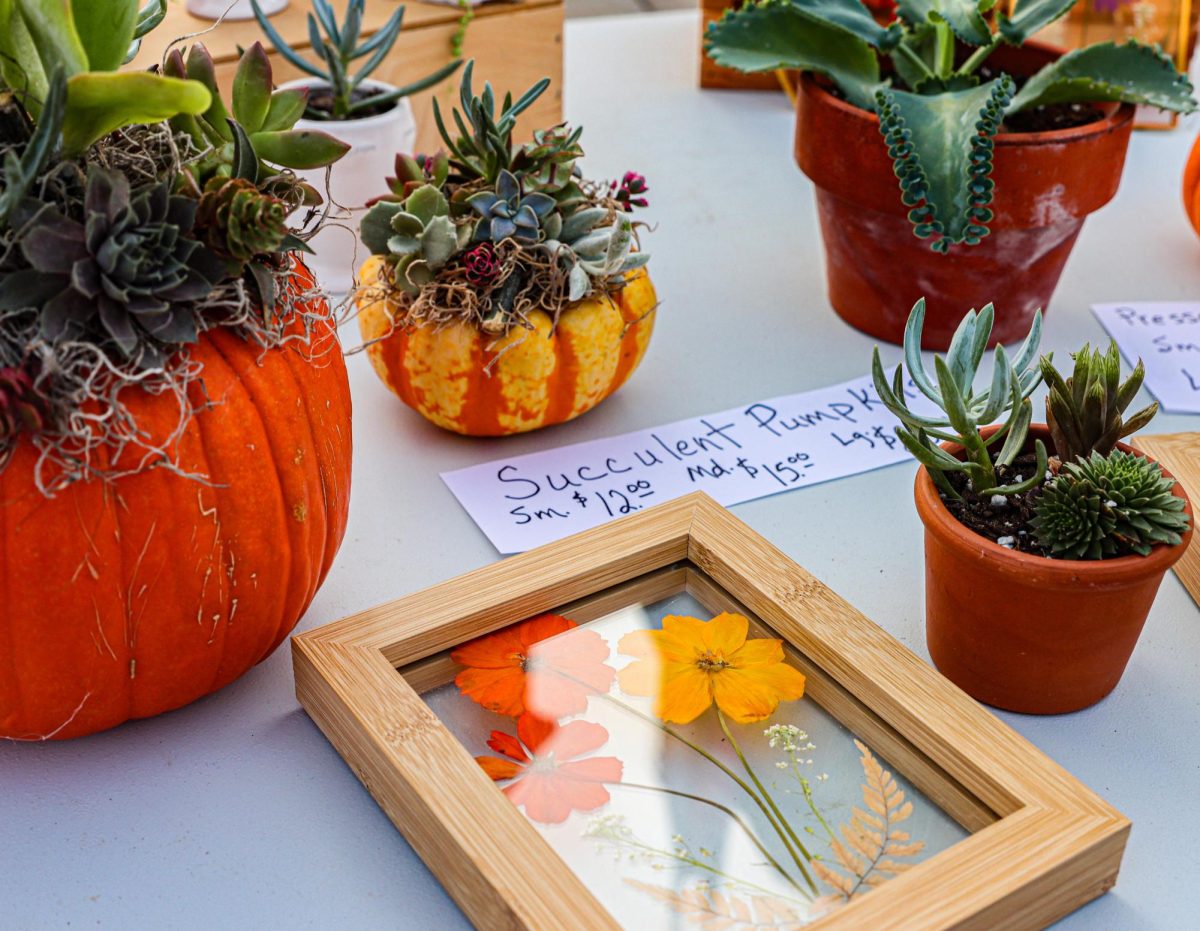 Decorative succulents inside pumpkin pots alongside pressed flowers were for sale at the Charleston farmer's market.