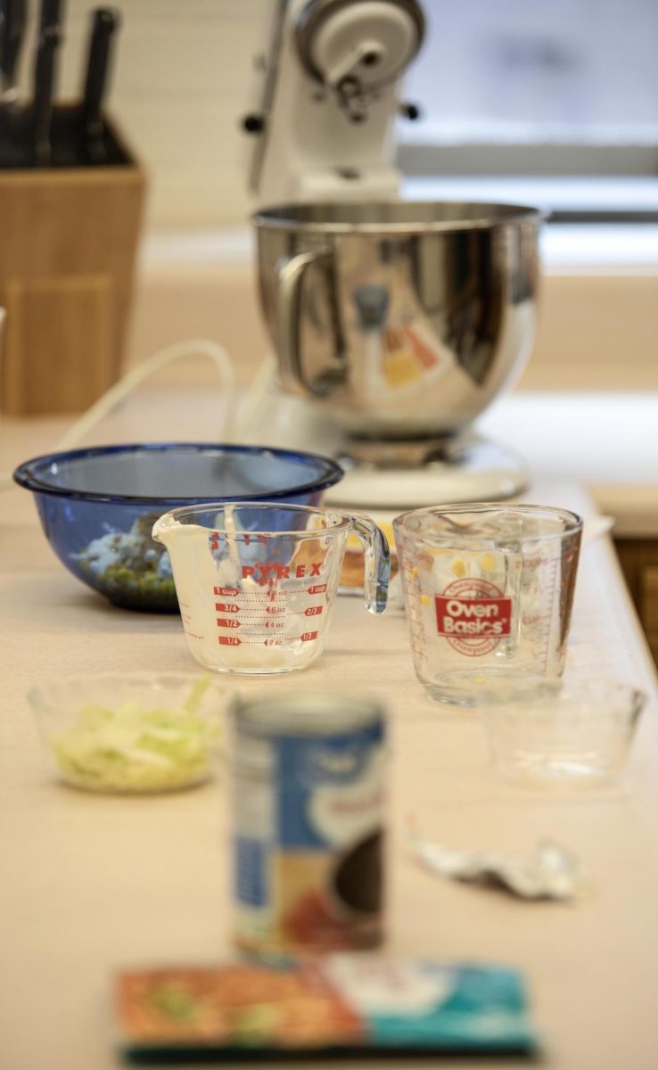 Students used ingredients like black beans, shredded lettuce, tomatoes and more for meatless tacos on Monday for healthy cooking class. Jazmin Lopez, the graduate assistant running the event, said any leftover ingredients would be given to the Panther Food Pantry. 