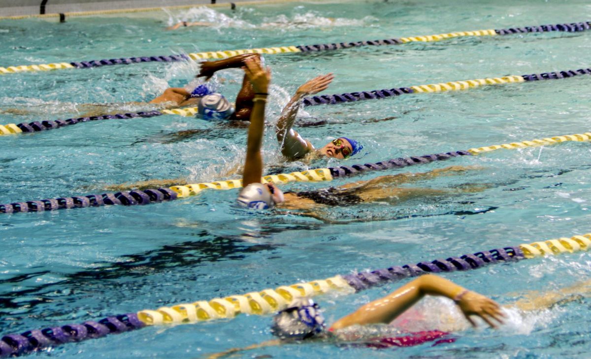 Mens and women swim team doing laps in the Ray Padovan Pool in the Groniger Arena 