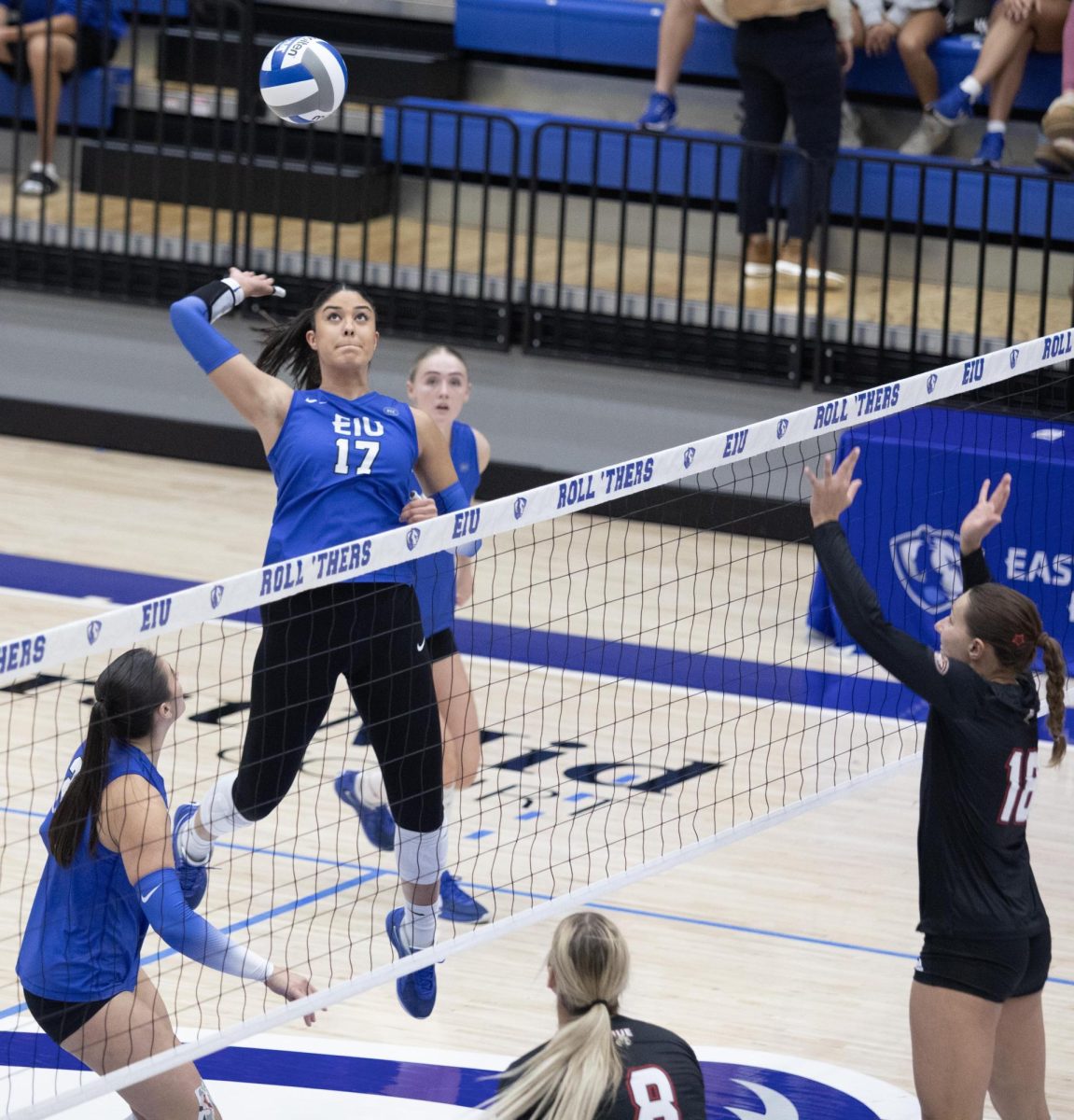 Sophomore middle blocker Julia Stanev spikes the ball over the net, during the Eastern Illinois University against Southern Illinois University Evansville