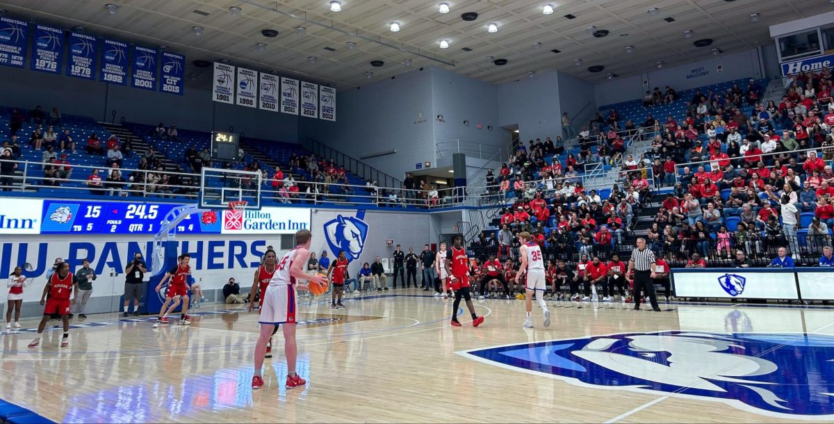 Fans of Meridian High School watch as St. Anthony High School has the ball near the end of the first quarter of the Illinois High School Association Class 1A Super sectional game at Groniger Arena on Monday.