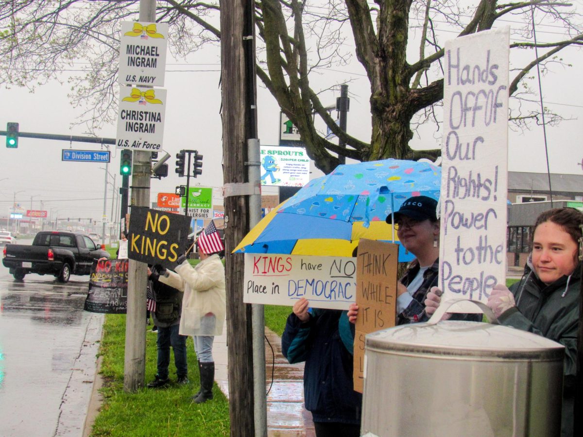 Protestors line the edge of Lincoln Avenue as part of the nationwide No Kings Day protests in Morton Park on Saturday. 