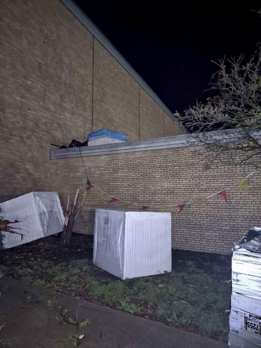 A tree was snapped in half and blocked the entrance of the EIU Recreation Center during a severe thunderstorm on the night of April 2.