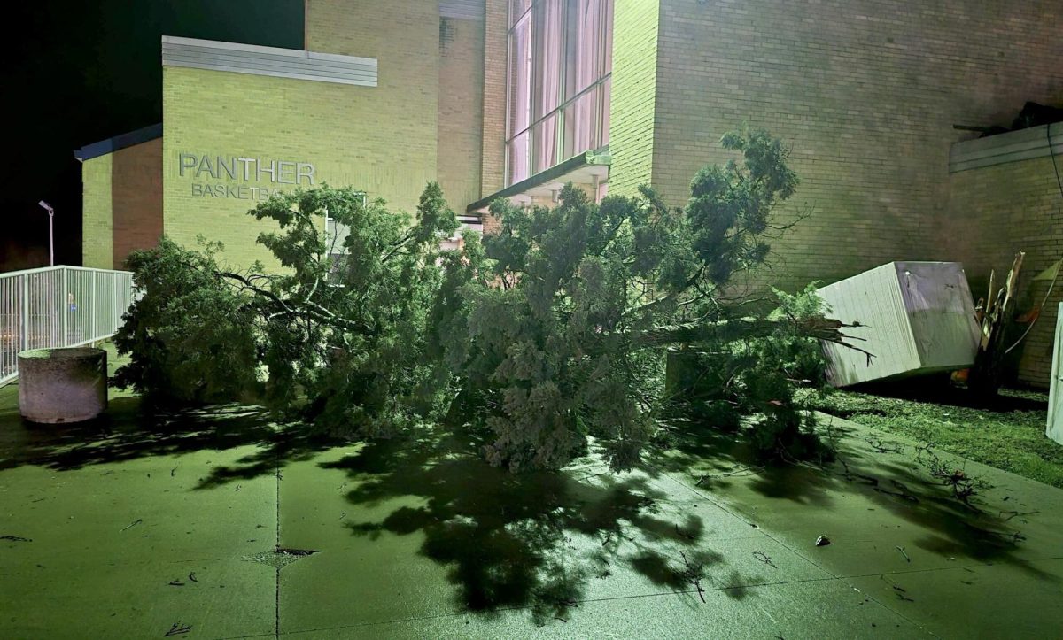 Several boxes of material slid off the roof of the Recreation Center, snapping a tree in half and blocking the sidewalk during a severe thunderstorm on April 2.